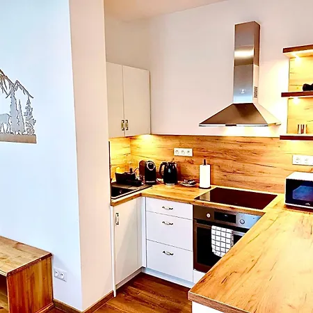 Aparthotel Paseky Wellness - Bazén, Sauna, Výřivka