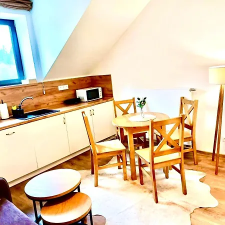 Aparthotel Paseky *