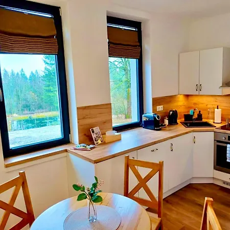 Paseky Wellness - Bazén, Sauna, Výřivka 4* Nove Mesto na Morave