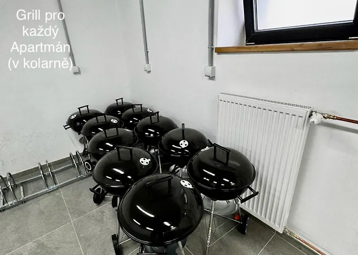 Paseky Aparthotel 4*